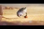 Video - Piper Disney Pixar Kurzfilm Animation - Niedlicher Vogel