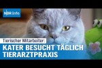 Video - Muffins tgliches Ritual: Arbeitsbeginn in der Tierarztpraxis um 7:30 Uhr