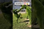 Video - Respekt