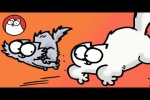 Video - Wenn Simon's Katzen ihre 5 Minuten haben
