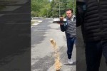 Video - Wenn die Leute alles mit einer einzigen Ber�hrung erledigen k�nnten, wie mit dem Ninja AutoBarista