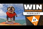 Video - WIN Compilation FEBRUARY 2023 Edition - Best videos of January