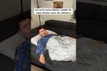 Video - Unterschiedliches Verhalten