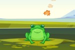 Spiel - Frog Match Master