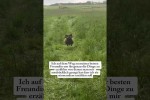 Video - Auf dem Weg zur besten Freundin