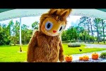 Video - Urkomische Halloween-Pannen
