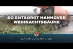 Video - Wohin mit dem Weihnachtsbaum? So werden Tannen in Hannover entsorgt