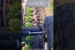Video - Wenn tierische M�tter ihre bedingungslose Liebe zeigen