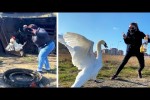Video - Die besten Videos 2025 (Teil 52)
