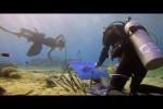 Video - The Incredible World Of Underwater Painting