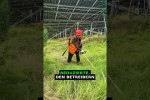 China wollte Strom erzeugen und bekam eine Farm