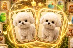 Spiel - Animal Pair Card Match