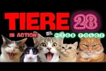 Video - TIERE IN ACTION 28 - MEGA FOLGE