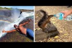 Video - Die besten Videos 2025 (Teil 47)