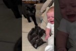 Video - Zeit ins Bett zu gehen
