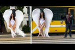 Video - Die besten Videos aller Zeiten