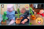 Video - Lustige Babies und ein sprechender Kaktus