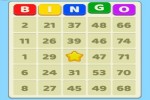 Spiel - Bingo Royal