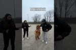 Video - Diese Person mit Pferden besuchen gehen