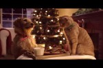 Video - Tiere feiern Weihnachten