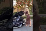 Video - Koffer zu gro�