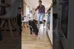 Video - All in one