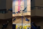 Video - Helicopter Swings