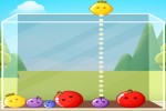 Spiel - Fruit Merge Juicy Drop Fun