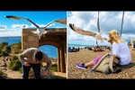 Video - Die besten Videos 2026 (Teil 62)