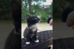 Video - Olaf der Biker
