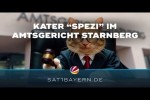 Video - Tierischer Mitbewohner im Amtsgericht Starnberg: Kater 