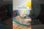 Video - Der Sommer ist da