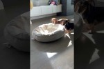 Video - Erst mal das Bett neu positionieren