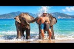 Video - Die besten Videos 2026 (Teil 82)