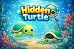 Spiel - Hidden Turtle