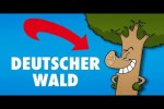 Video - Ruthe.de - Nachrichten Deutscher Wald