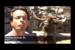 Video - FRANKEN ANIMALS 22