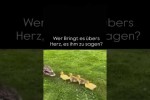 Video - Wer sagt es ihm?