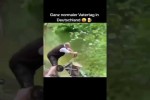 Video - Ganz normaler Vatertag in Deutschland