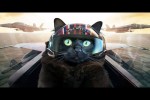Video - Video - Top Gun with a Cat