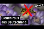 Video - Besser leben ohne Bienen - extra 3