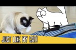 Video - Just Like My Cat - Simon's Cat