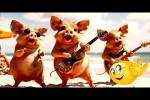 Video - Hitzeschutzplan 2025 - Satire-Song