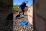 Video - Lustiges mit Enten