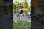 Sie lie� alles fallen, um diese hilflose Gans zu retten