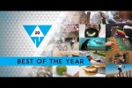 Video - WIN Compilation Best of 2020