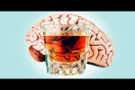 Video - 10 Harte Fakten über Alkohol