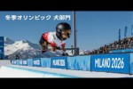 Video - Hunde-Olympiade