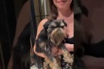 Video - A Grumpy Bearded Dog