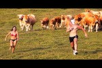 Video - Die besten Videos aller Zeiten (Teil 80)